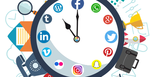 Professional Website Designing and Development